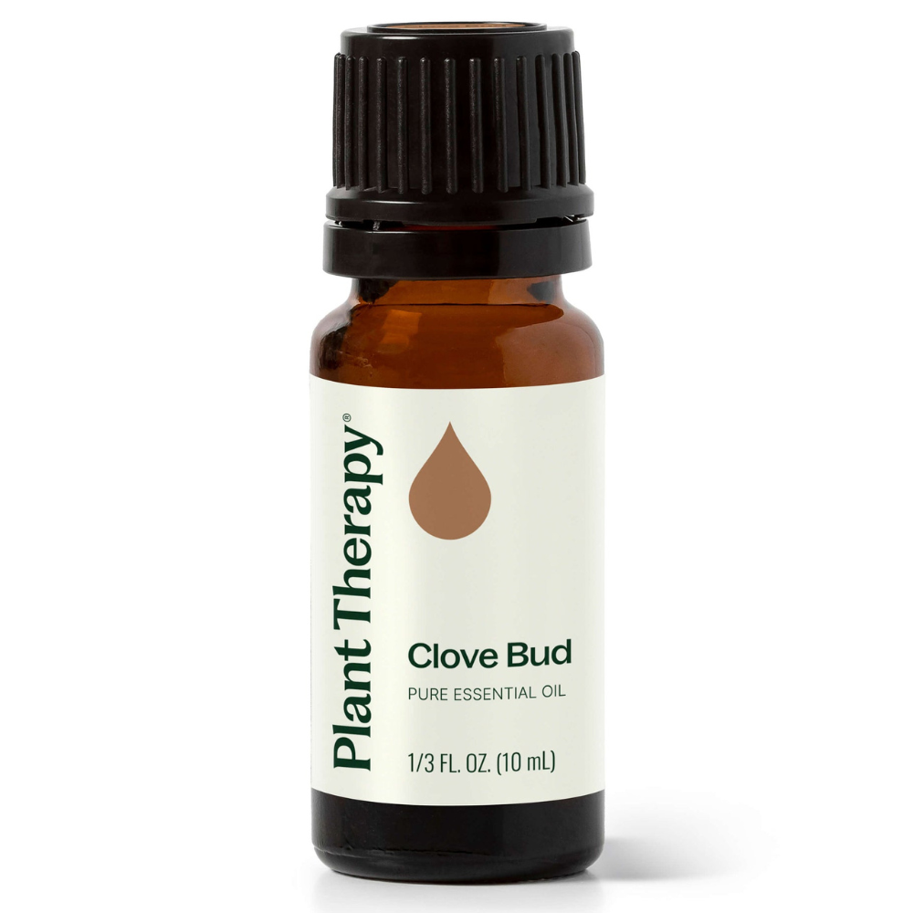 Clove Bud Essential Oil