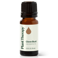 Thumbnail for Clove Bud Essential Oil