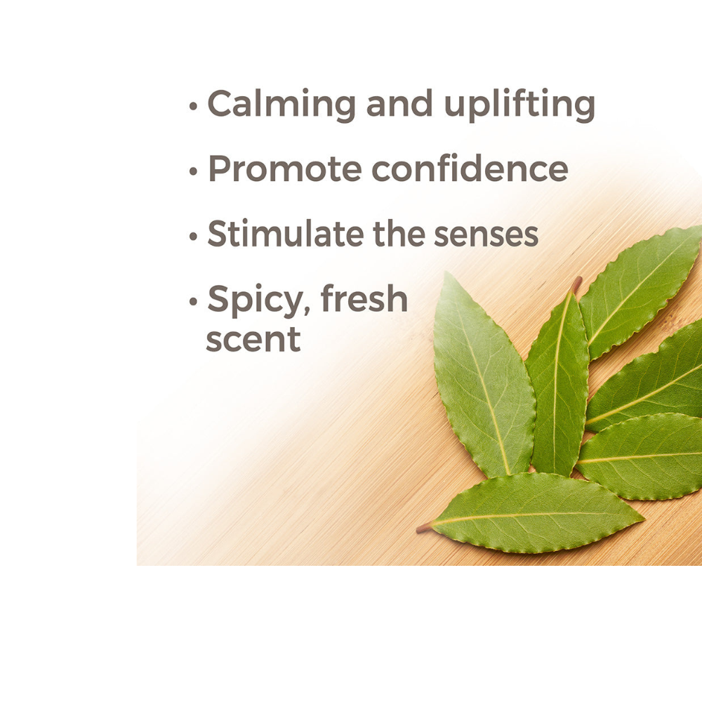 Laurel Leaf Essential Oil