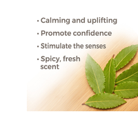 Thumbnail for Laurel Leaf Essential Oil