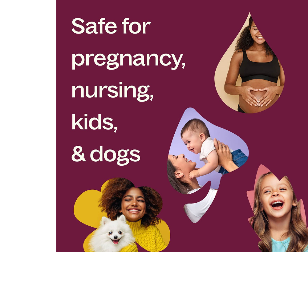 Joyful Creation (Sacral Chakra) Essential Oil Pre-Diluted Roll-On