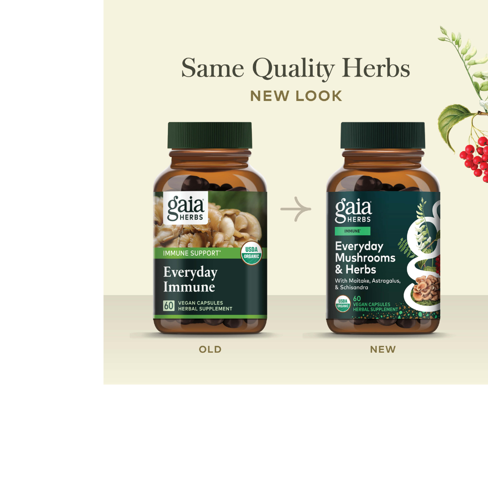 Everyday Mushrooms & Herbs