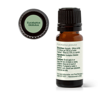 Thumbnail for Eucalyptus Globulus Essential Oil