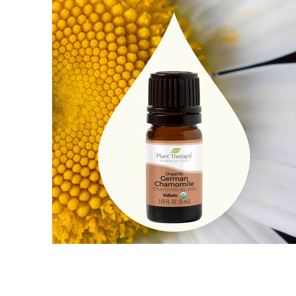 Organic German Chamomile Essential Oil