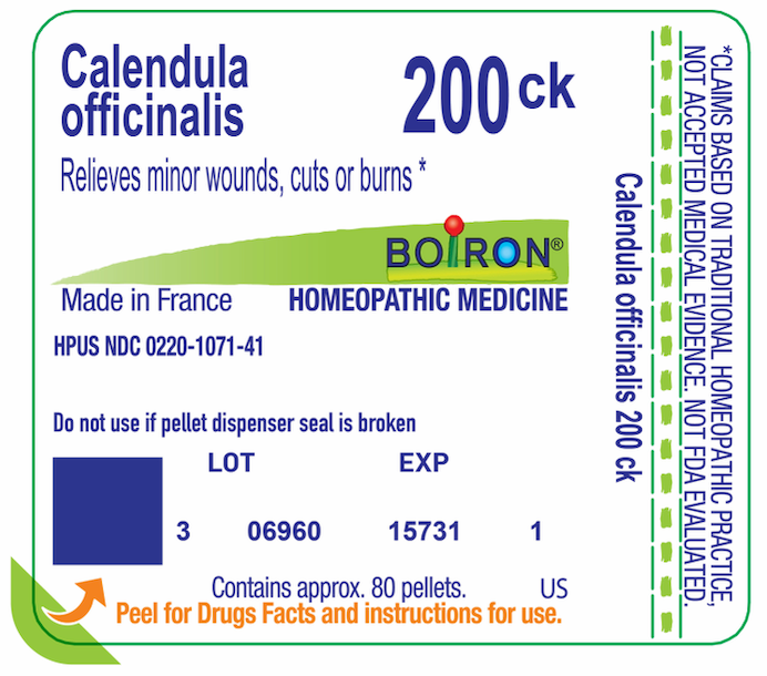 Calendula Officinalis 200CK