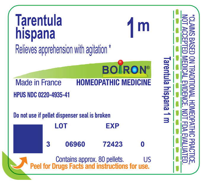 Tarentula Hispana 1M