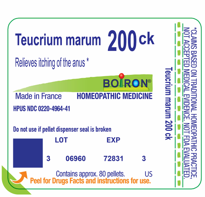 Teucrium Marum 200CK