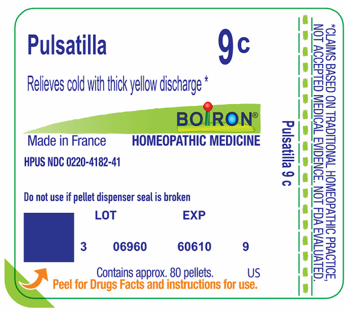 Pulsatilla 9C