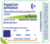 Thumbnail for Eupatorium Perfoliatum 6C