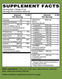 Thumbnail for Advanced BCAA/EAA with Electrolytes Lemon Tea