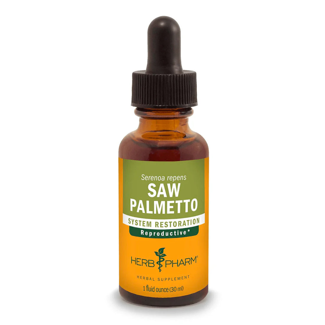 Saw Palmetto