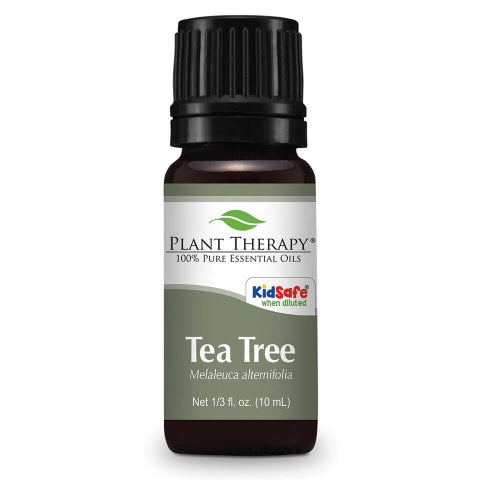 Tea Tree Essential Oil - My Village Green