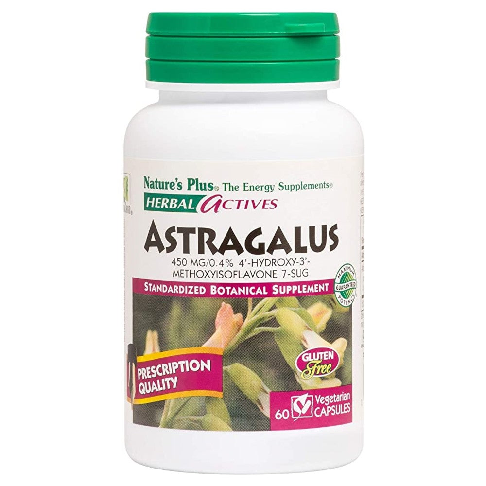 Herbal Actives Astragalus 450 mg - My Village Green