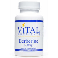 Thumbnail for Berberine 500 mg