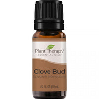 Thumbnail for Clove Bud Essential Oil