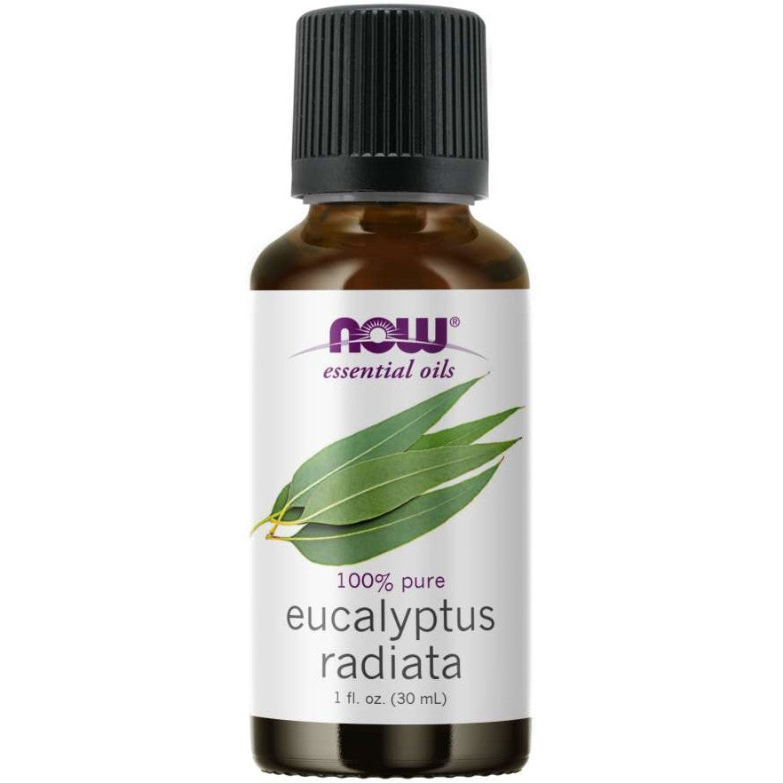 Eucalyptus Radiata Oil - My Village Green