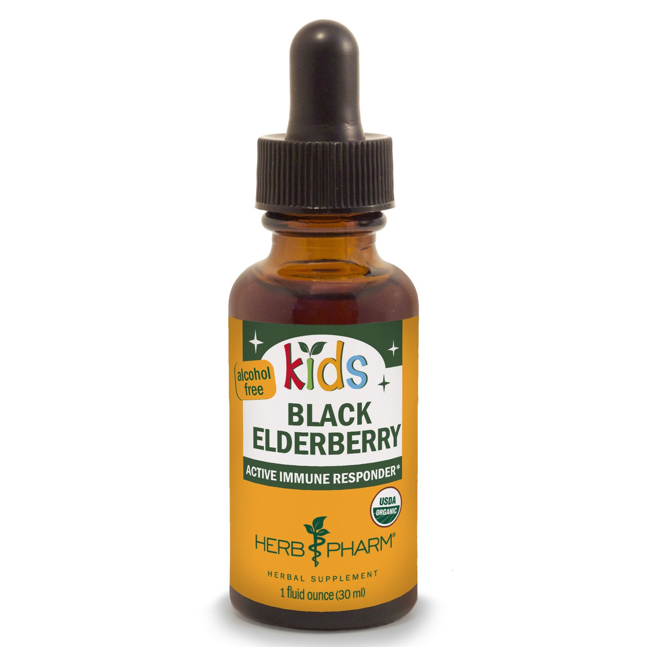 Kids Black Elderberry - My Village Green