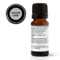 Thumbnail for Laurel Leaf Essential Oil