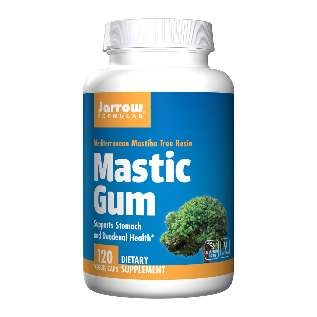 Mastic Gum - Jarrow Formulas
