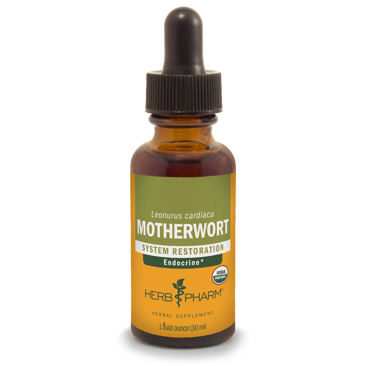 Motherwort - My Village Green