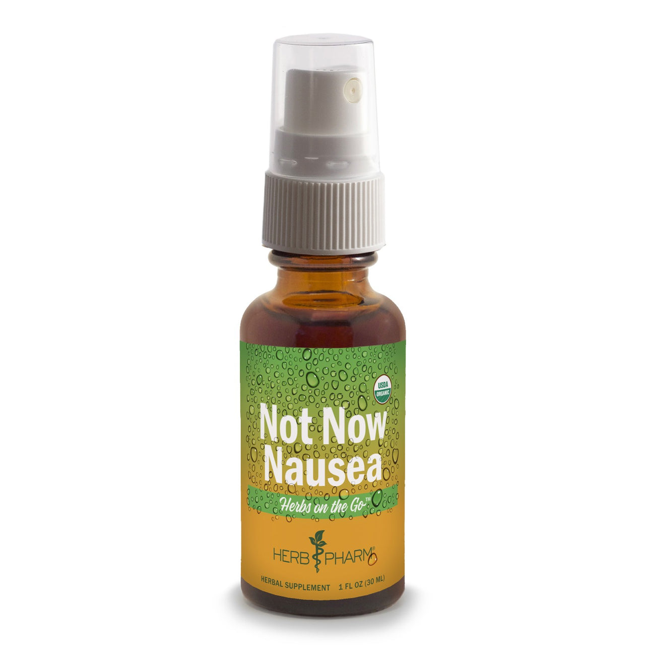Herbs on the Go: Not Now Nausea - My Village Green