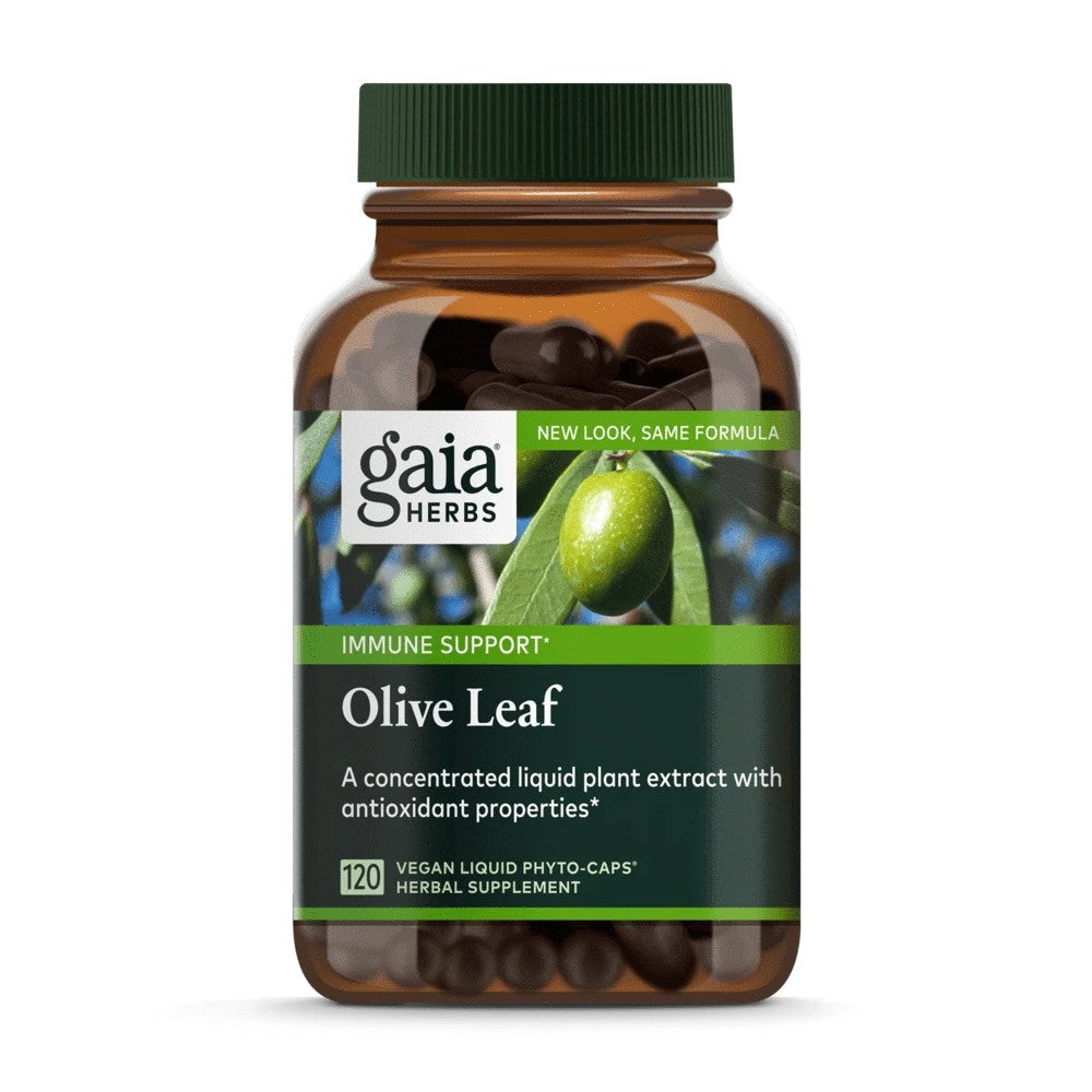 Olive Leaf - Gaia Herbs