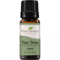 Thumbnail for Tea Tree Essential Oil