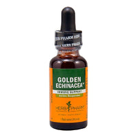Thumbnail for Golden Echinacea Extract Organic