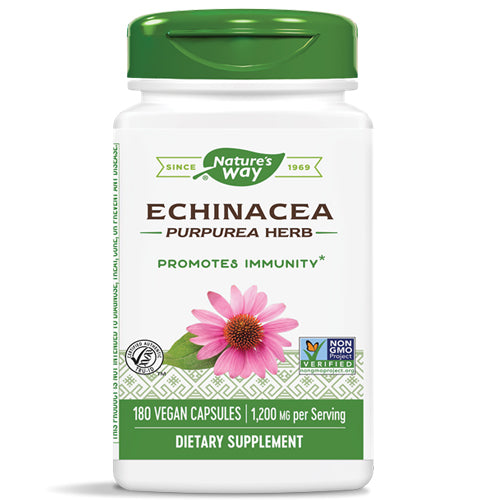 Echinacea Herb - My Village Green